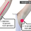 림프마사지