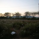 원전 약수터 이미지