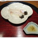 씨트루스 이미지