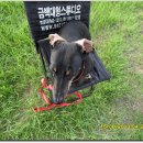 압독생활체육공원 이미지