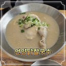 언양닭칼국수 진해자은점