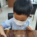 호텔 초콜릿 이미지