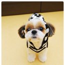 미용일가