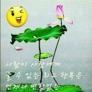 엔돌핀 이미지