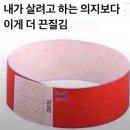 라임쇼핑