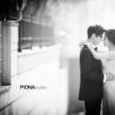 피오나 - 강남구 삼성로 212 | 피오나