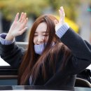 다연 이미지