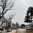 워시존 관저점 이미지