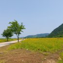 북면수변공원(야구장) 이미지