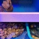 화천 바다수퍼 이미지