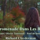 Richard Clayderman - Promenade Dans Les Bois 이미지