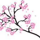 체리의향기 이미지