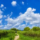 삼락생태공원 이미지