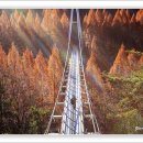 장태산의아침 이미지