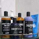 매드워시 | #2. 내 생애 첫 '러쉬(LUSH) 프레쉬데이' 성공(?) 후기