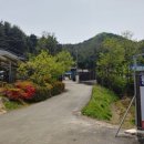 왕곡별천지펜션