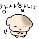 뉴욕꽈배기 동탄역점 네이버블로그