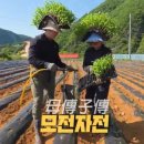 서경원농장 네이버블로그