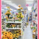 DC 생활용품할인점 이미지