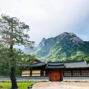 [IDS] 국제꿈의학교 한글날 설악산 산행 후기 ｜혼자 걷지 않을 거예요