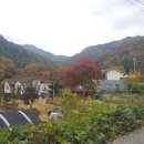 도덕보건진료소 이미지