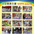 라임태권도장 이미지