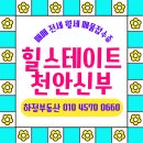 씨티현대힐스테이트부동산중개사무소 | 천안 신부 힐스테이트 신부동 아파트 단지정보 및 59타입 매매 전세 월세 시세정보 : 두정동 하정부동산