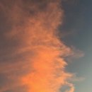 카페공원앞 이미지