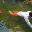 남창감나무집 이미지