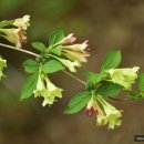 응성농장 이미지