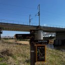 승리전망대 진입도로변 | 조천변벚꽃길전망대 주차장 가는법 입구 안내(1탄)