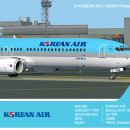 KAL PMDG NGXu B737-900 페인팅 업데이트 이미지