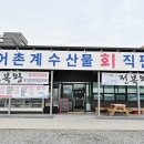 전복왕 이미지