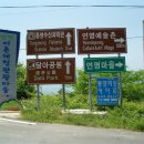 산양일주로 이미지