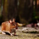 네모네모 이미지