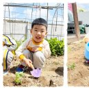 포항유치원 이미지