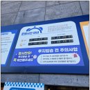 레이저아레나보문 | 겨울 경주여행 가볼만한곳 경주루지월드랑 레이저아레나 운영시간 입장료 방문 후기