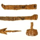 고래들공원 이미지