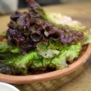 막썰어 세꼬시회 이미지