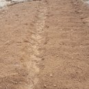 호성농장 이미지