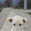고집통 - 남구 왕생로144번길 24-1 | 고집통