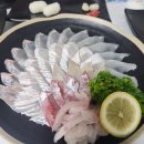 설화215 | 영일대해수욕장맛집 설화횟집 물회맛집 후기