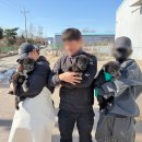 지수동물병원 | [부산동물보호센터] 유기견봉사후기 2026.1 ④