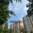 압구정-116 이미지