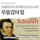 대전심리상담센터 해맑음 - 슈베르트의 아르페지오네 소나타와 우울감의 힘
