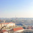 비바리호프 이미지