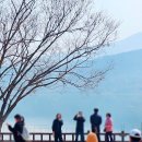 남한강자전거길 17 | 양평 갈만한곳 두물머리 연핫도그와 남양주 물의정원 자전거 여행