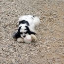 도기누리 이미지