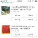 알파피쉬