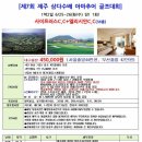 19년 6/25~26 제주 삼다수배 아마추어 골프대회 이미지